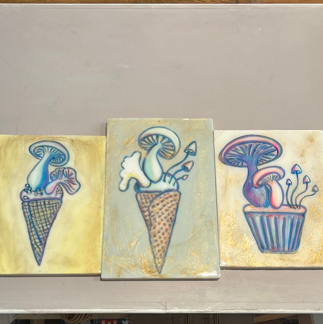 Mush treats mushrooms paintings Verona