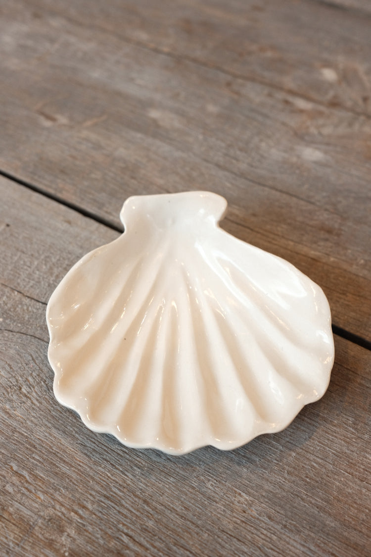 Melissa shells no.1
