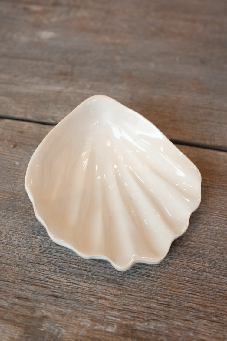 Melissas Shells no.2