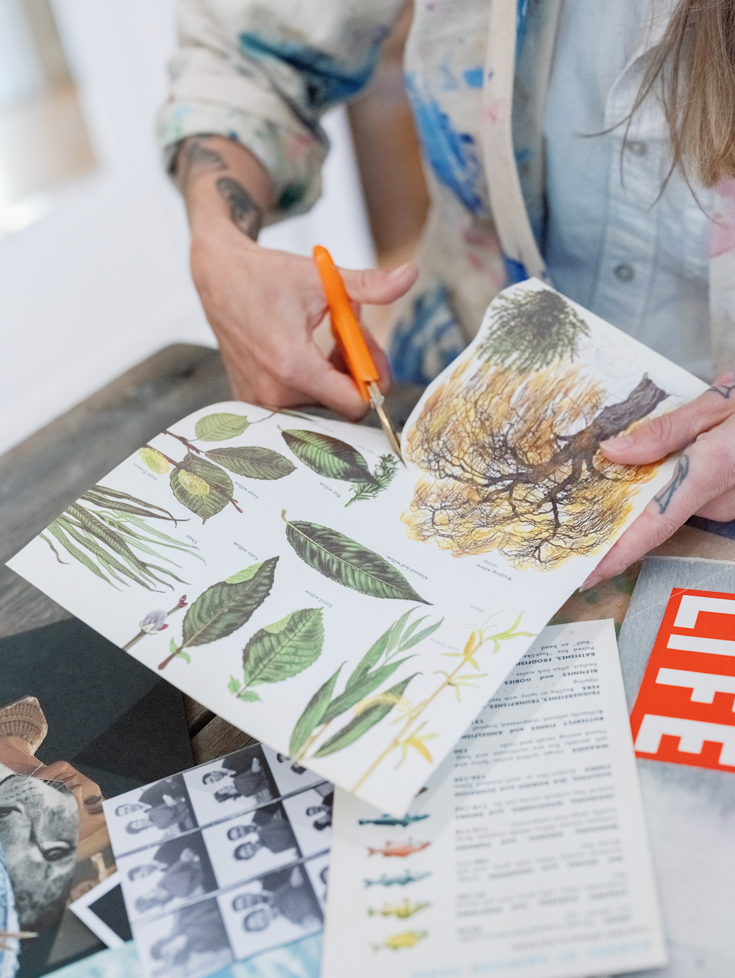 Rainy Day Things to Do in Greenport, NY