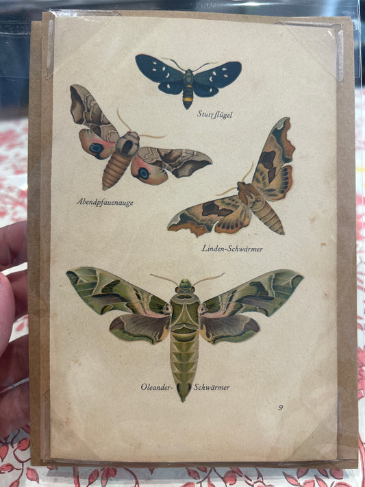 Butterfly vintage cards by veme