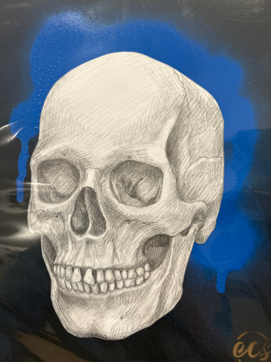 Skulls Emily cate Sabree