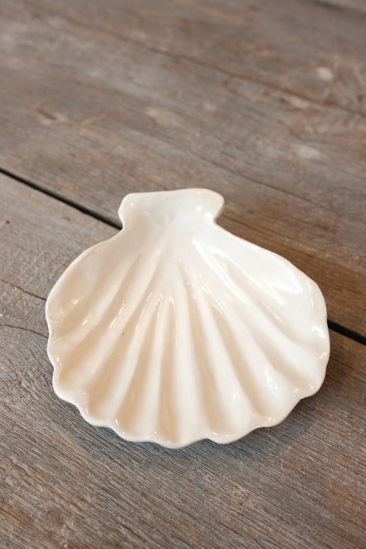 Melissa shells no.1