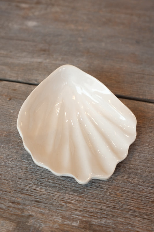 Melissas Shells no.2