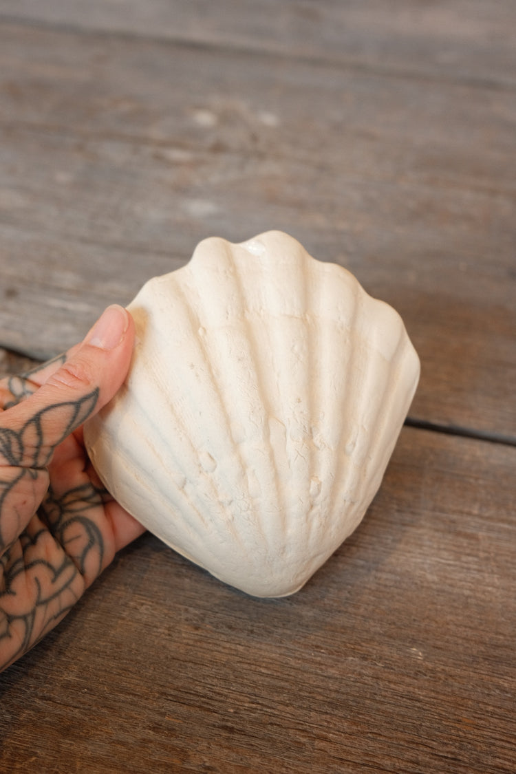 Melissas Shells no.2