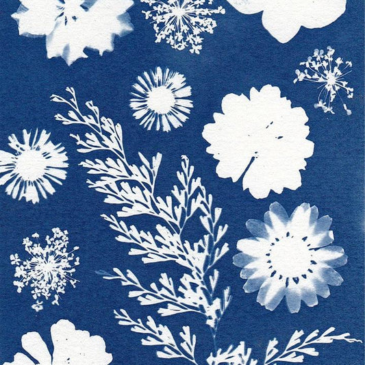 example of print